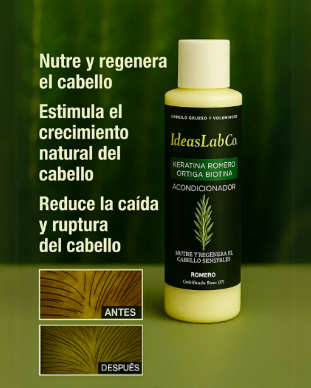 Acondicionador para Cabello Grueso y Voluminoso con Romero Keratina Ortiga y Biotina (220 gr.) - IdeasLabCo™